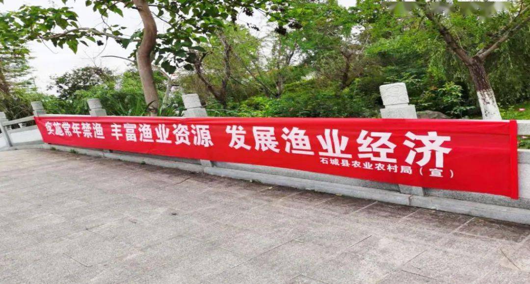 2025精准免费资料大全,全面释义、解释与落实-警惕虚假宣传-全面释义、解释与落实